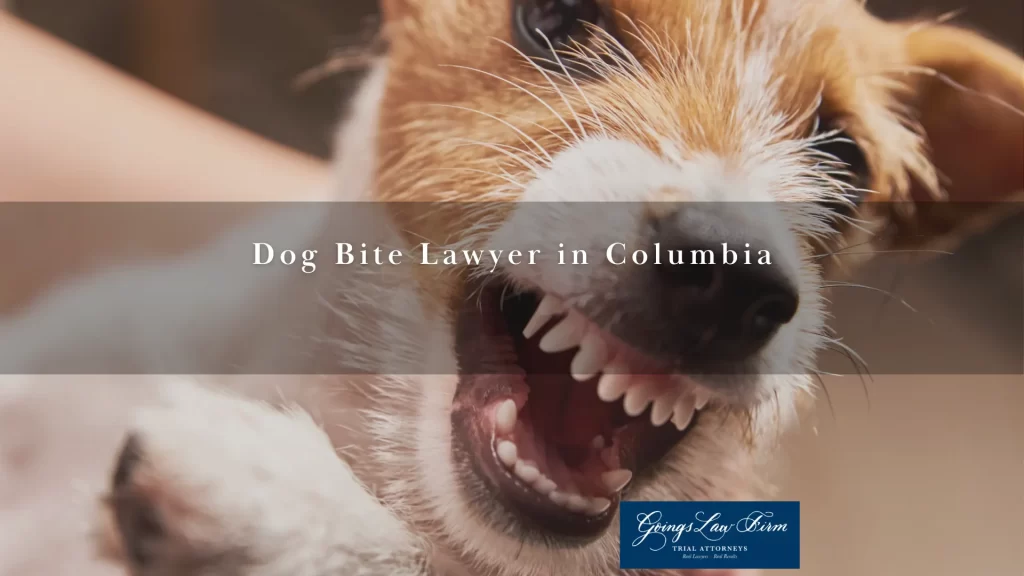 Dog deals bite lawyer